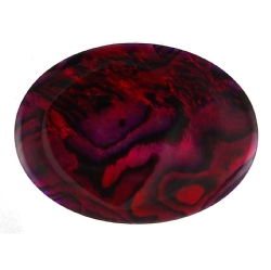  Abalone - Red 