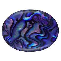 Abalone - Purple