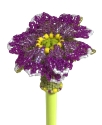 70430 - Bloomin Pencil Topper