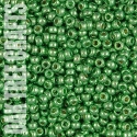 96255 - SB08 - Miyuki - Duracoat Galvanised - Dark Mint Green (4214) - 8gm