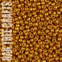 96259 - SB08 - Miyuki - Duracoat Galvanised - Yellow Gold (4203) - 8gm