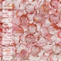 91298 - FA06 - Czech - Two-Tone Lustre - Crystal/Pink (F089) x 8